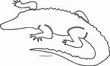 Outline Alligator Crocodile Coloring Wecoloringpage Animal Pages sketch template