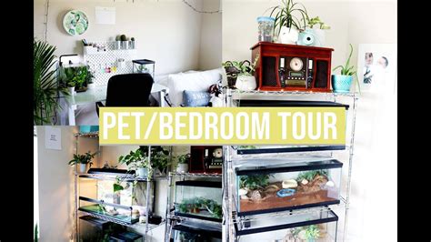 pet room  sharing  bedroom   pets youtube