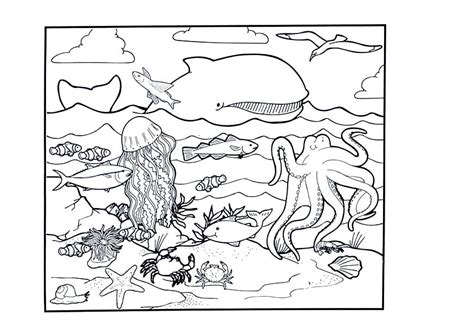 hudyarchuleta coloring pages ocean preschool