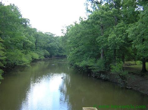pin  robert anglin  north louisiana bayous louisiana bayou bayou outdoor