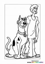 Scooby Doo Shaggy Fred sketch template
