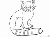 Panda Red Coloring Pages Cute Printable Colouring Baby Color Print Adults Kids Getdrawings Getcolorings Template sketch template