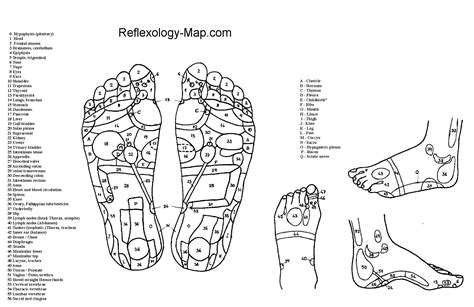 Gratis Download 5 Best Foot Reflexology Chart Updated 2018