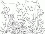 animal coloring pages  nicoles coloring pages
