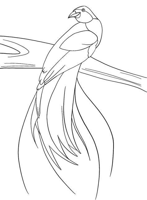 flying bird  paradise coloring page  printable coloring pages