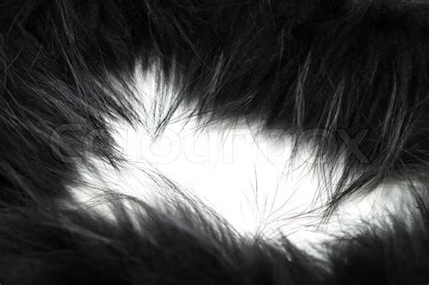 black fur  background stock image colourbox