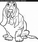 Hound Basset Dog Coloring Vector Drawing Cartoon Getdrawings Drawings sketch template