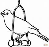 Coloring Canary Pages Bird Printable Drawing Popular Coloringhome sketch template
