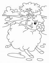Coloring Sheep Pages Lost Kids Parable Animals Shipping Style Domestic Book Farm Library Clipart Animal Comments sketch template