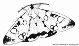 Moth Designlooter Miraculous Ladybug Superheroes Agreste sketch template