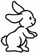 Coloring Hare Arctic Popular Rabbit sketch template