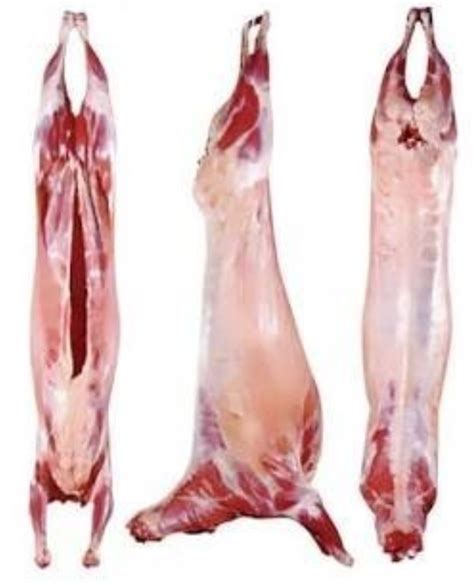 lamb carcass breakdown  john  butcher