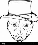 Pitbull sketch template