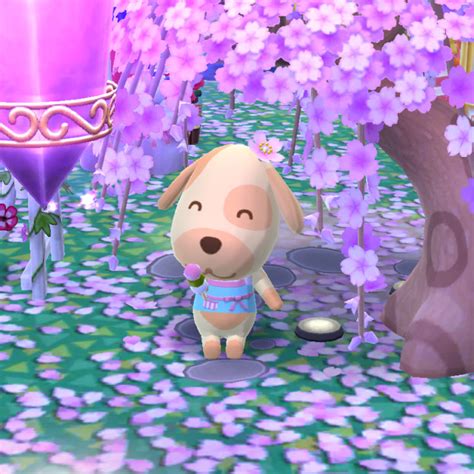 dreamie goldie is my fave villager and i love her so much