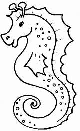 Sea Horse Coloring Pages Drawing Worksheet Line Guide sketch template