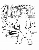 Grizzly Urs Colorat Planse Kids Animals Desene sketch template
