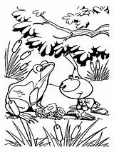 Allstar Coloring Pages Snorkels Frog Talking sketch template