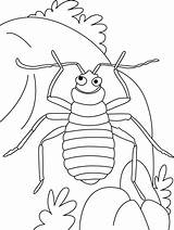 Coloring Pages Bug Bed Earth Recite Mine Kids Insects Color Creatures Species Animals Ant Bestcoloringpages Bedbug Insect Choose Board sketch template