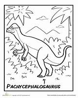 Pachycephalosaurus Education Coloring Prehistoric Color Worksheet Handsome Hypacrosaurus Pages sketch template