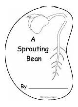 Bean Seed Sprouting Sprout Book Printable Shape Books Enchantedlearning Plant Coloring Germination Science Cycle Template Plants Preschool Kindergarten Spring Print sketch template