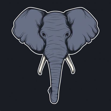 vector elephant head background