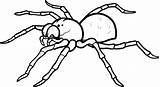 Spider Coloring Pages Printable Outline Drawing Tattoo Line Insects Colouring Clipart Spiders Color Print Draw Kids Fluffy Huge Designs Minecraft sketch template
