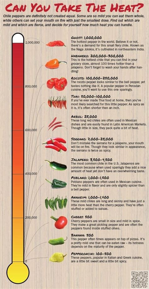 cheat sheet infographics  turn    star chef stuffed