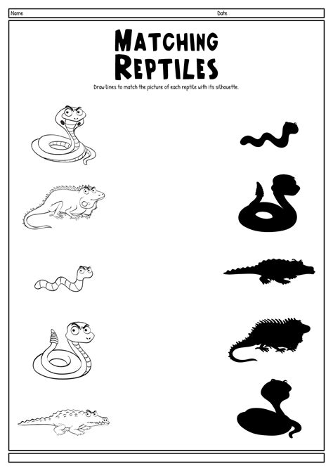 amphibian worksheets  kindergarten    worksheetocom