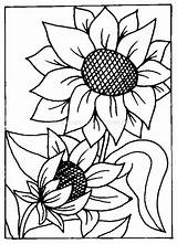 Floarea Colorat Soarelui Tournesol Girasoli Girasoles Girasol Planse Bordar Riscos P09 Soare Decupat Zonnebloem Girasole Ludinet Plantes Desene Stencils Floare sketch template