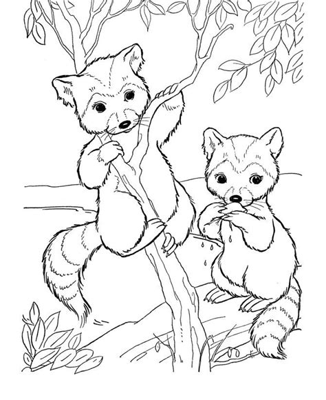 woodland animal coloring page coloring home