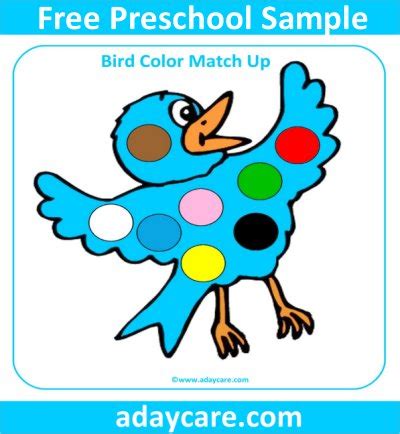 bird theme  preschool  printable pages