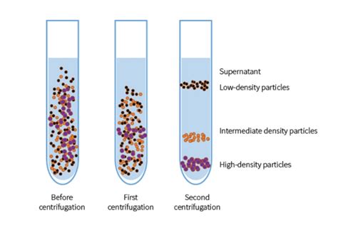 microcentrifuge   principle  centrifugation  laboratory