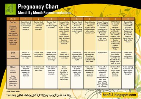 pregnancy chart monthly chart      pregnant mother