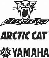 Cat Arctic Logo Vector Vectors Cdr  Zoom Click 3axis Getdrawings sketch template