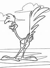 Runner Road Looney Tunes Coloring Pages Printable sketch template