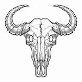 Skull Bull Crane Pen Schets Schedel Dier Dood Vectortatu Depositphotos Illustraties Stockvectors Rechtenvrije sketch template