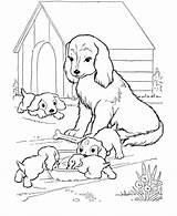 Puppy Coloringhome Her K5 Coll sketch template