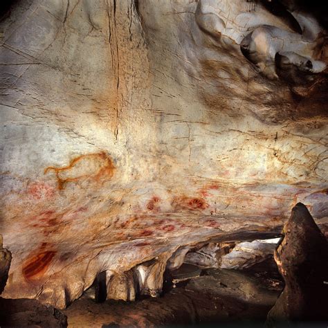 famous cave paintings     humans wgbh news