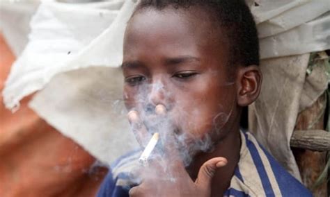 Tobacco Smoking In Africa A Rising Health Concern Particularly Amongst