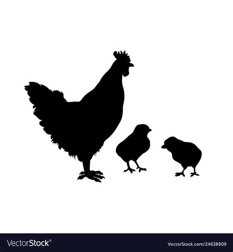black silhouette of chicken with chicks royalty free vector