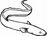 Eel Coloring4free Mewarnai Binatang Clipartpanda Squid Clipartmag sketch template
