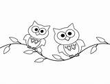 Coloring Owls Tree Two Pages Categories Branch sketch template