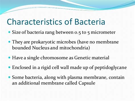 bacteria