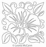 Hawaiian Quilting Block Quilt Patterns Mccann Leona Flower Choose Board sketch template