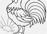 Coloring Rooster Pages Adults Printable Color Print Getcolorings Getdrawings sketch template