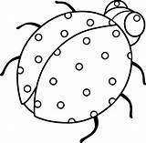 Ladybug Clipart Outline Ladybird Line Beetle Lady Clip Bird Coloring Spotty Drawings Cliparts Template Cute Library Sweetclipart Attribution Forget Link sketch template