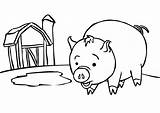 Coloring Pig Pages Kids Cartoon Pigs Near Barn Bank Cute Cliparts Piggy Print Christmas Guinea Line Characters Baby Clipart Colouring sketch template