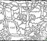 Jungle Rainforest Drawing Coloring Kids Pages Printable Layers Endangered Species Getcolorings Getdrawings Amazon Color Drawings Print Paintingvalley Colorings sketch template