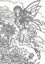 Hadas Hada Imagen Bosques Alas Mariposas Fairies sketch template