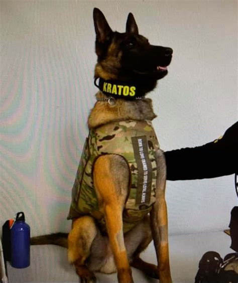 Tcso K9 Receives Donation Of New Body Armor Wkdz Radio